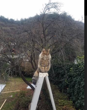 Kaiyun官方登录入口-国足替补球员单场贡献率排行榜，国足替补队员名单